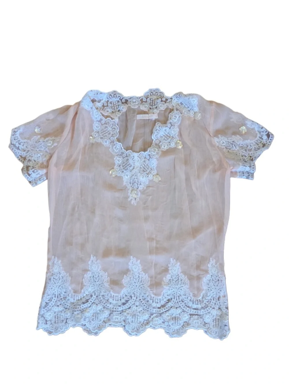 Ossira Sheer Lace-Trim Pink Blouse with Scalloped Hem - Picture 1 of 5